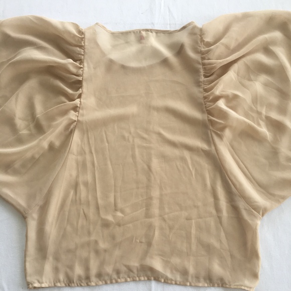 Chiffon Blouse - Picture 3 of 5